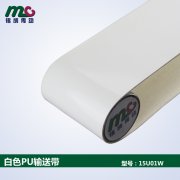 食品輸送帶顏色一定要求白色嗎？